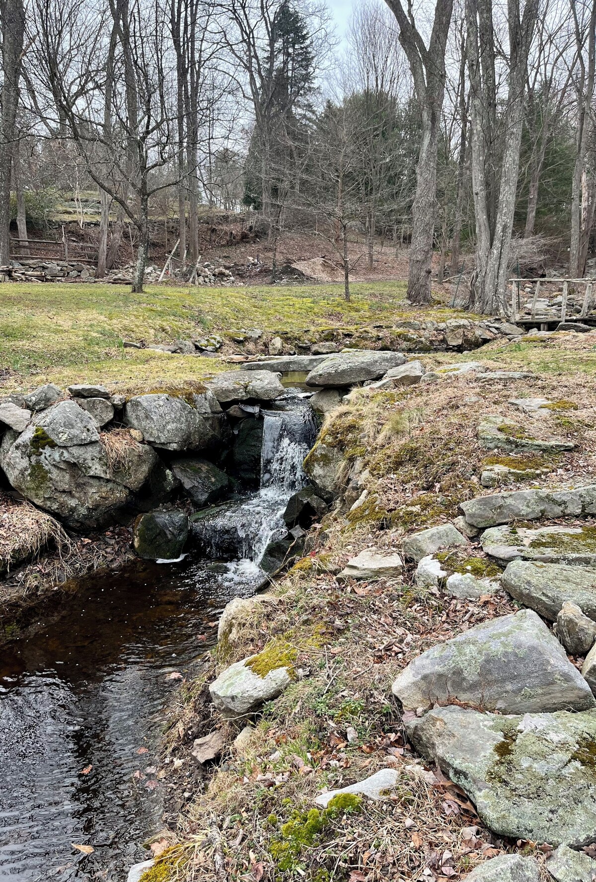 Imagen de perfil del propietario o de la propietaria