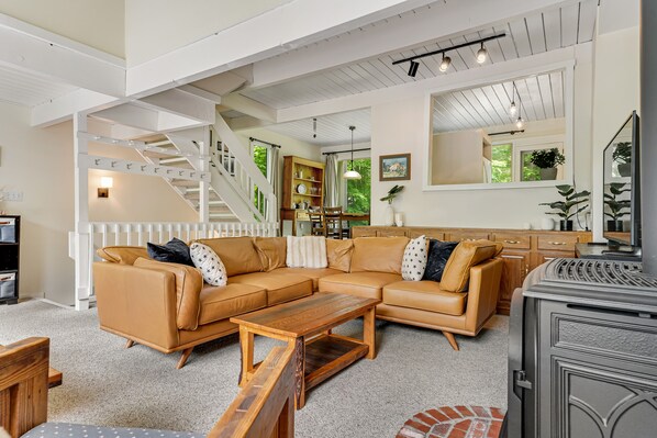 Televisión, chimenea y libros 