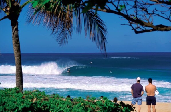 A beach scene with surfers, palm trees, and ocean waves.