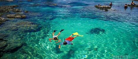 Playa en los alrededores