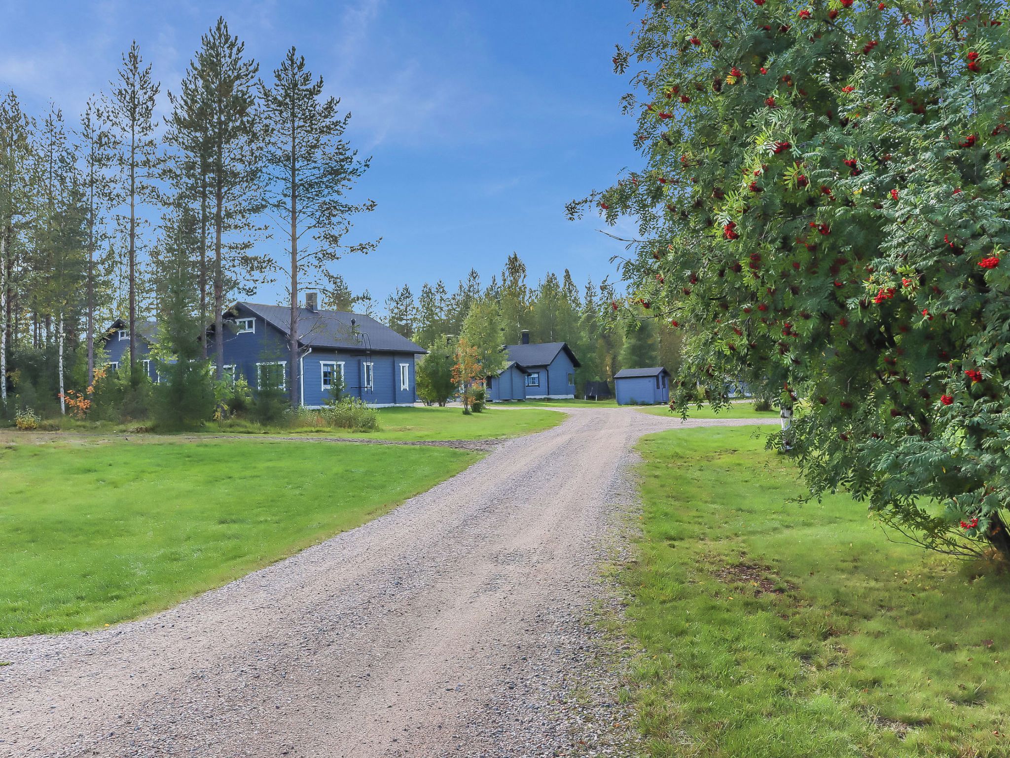 A gravel driveway leading to a row of blue houses with a grassy field and trees on either side.