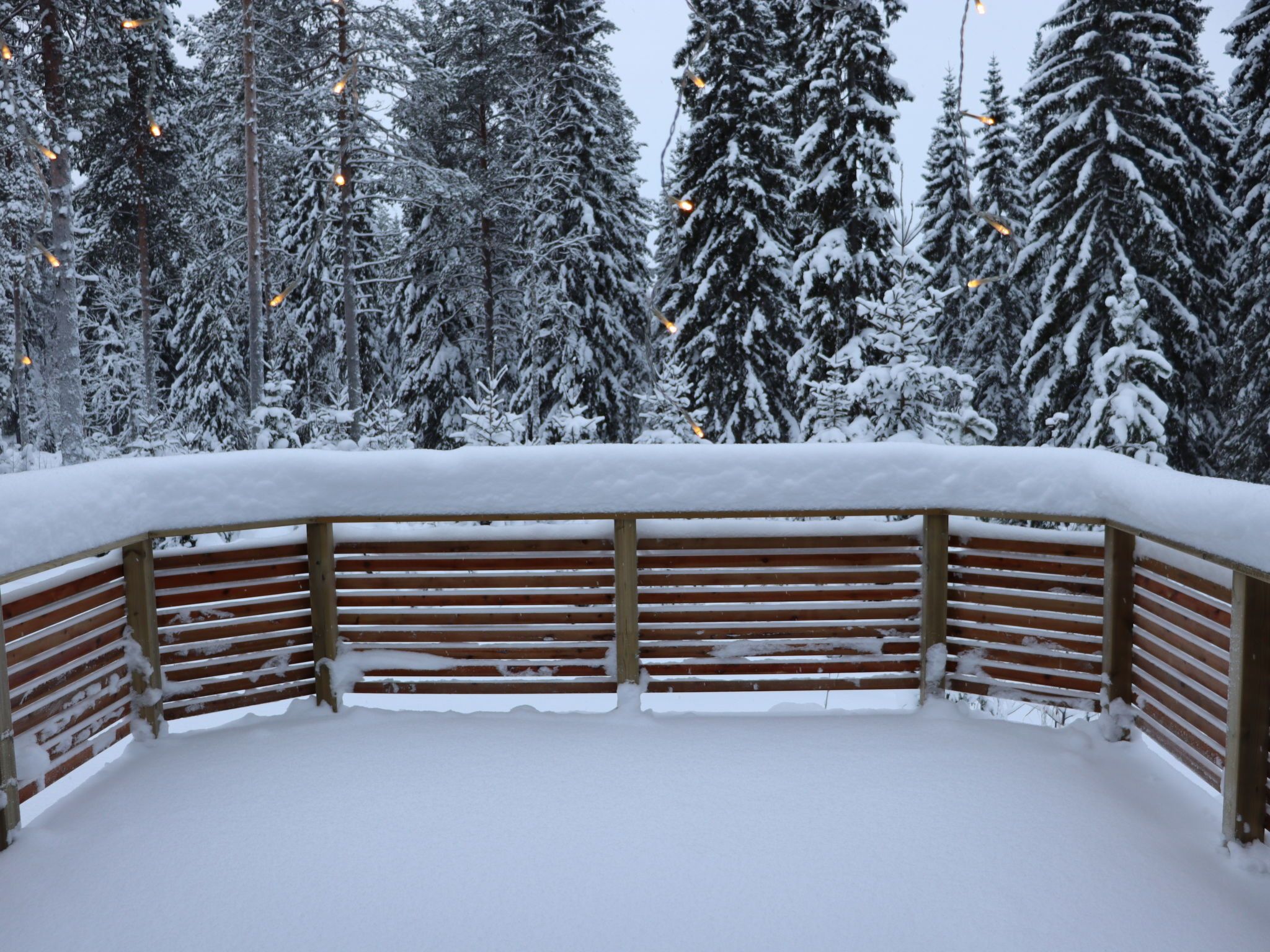 A snow-covered wooden bench with a view of snow-laden trees in the background.