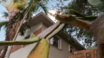 Área da propriedade