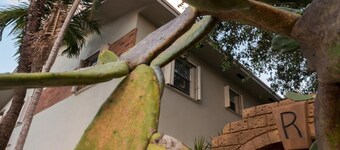 ริชาร์ดส์ เมอเทล สตูดิโอ