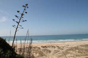 Playa en los alrededores 