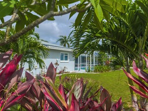 Property grounds - Coastal Inspired Contemporary Home with beautiful pool you won't want to leave! (Cape Coral)