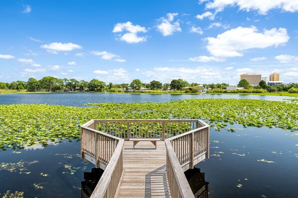Property grounds - No elevators! Pool! Free Parking! (Panama City Beach)