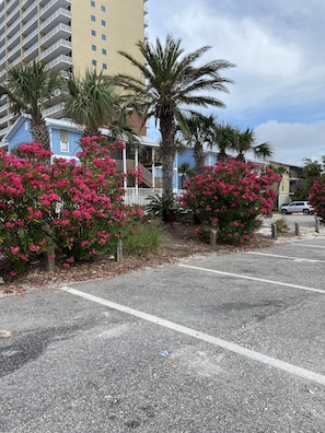 Property grounds - Beautiful Condo in Gulfshores, AL, 2 min walk to the Beach, Pool and Fishing (Gulf Shores)