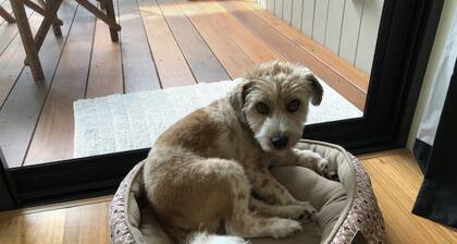 Room with peaceful bush views near Angourie's famous surf. Pet friendly.