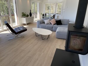 Télévision, cheminée, livres