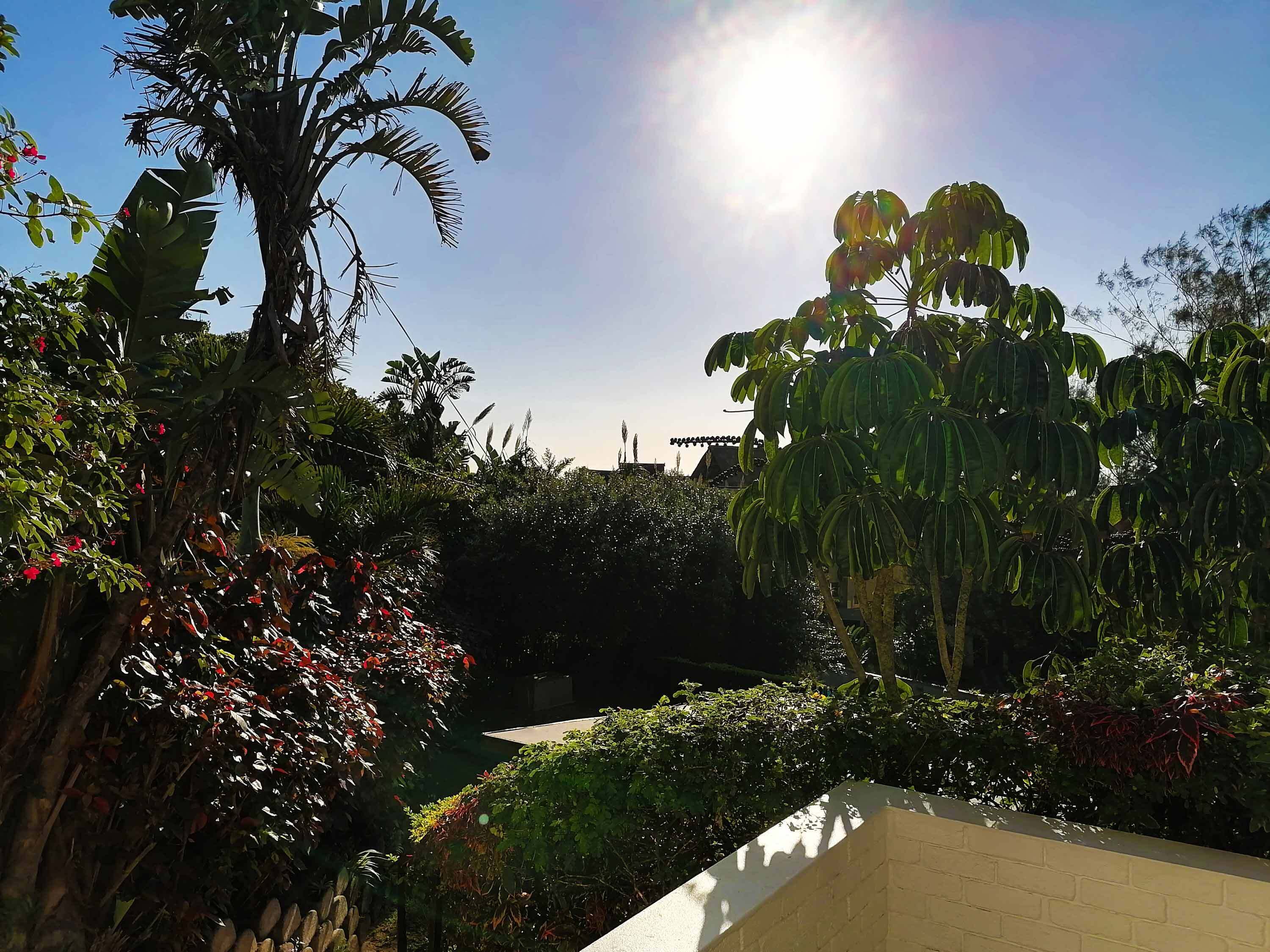 ダブルルーム | テラス / パティオ