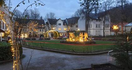 Ferienwohnung Harzmonie