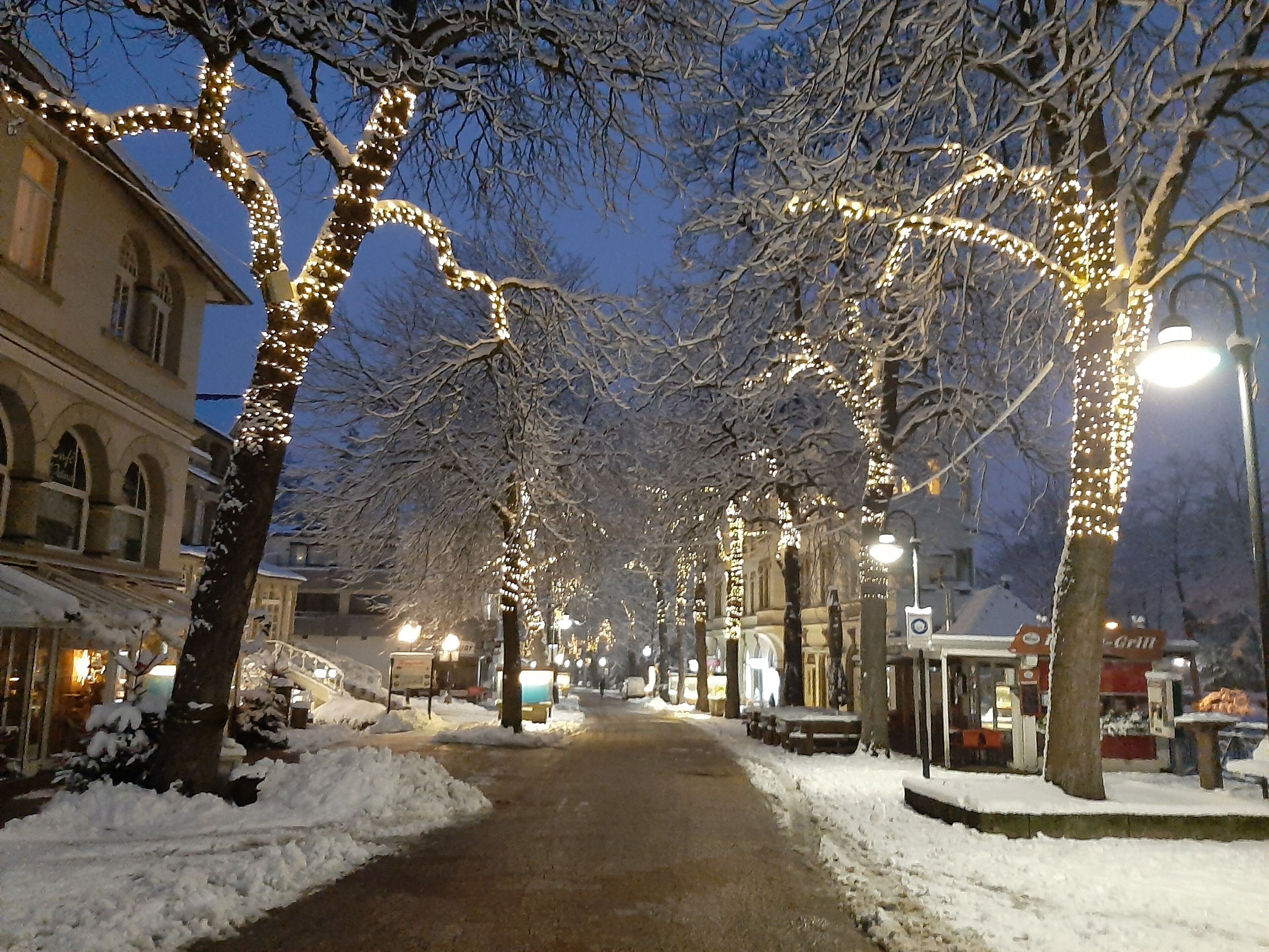 Une rue enneigée bordée d’arbres décorés de guirlandes lumineuses, un bâtiment aux fenêtres en arc de cercle et un lampadaire.