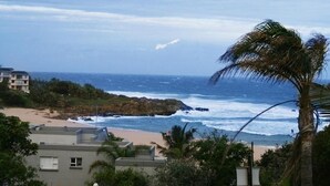 A coastal view with a beach, ocean waves, and a palm tree. - Crayfish Inn no.5 (Margate)