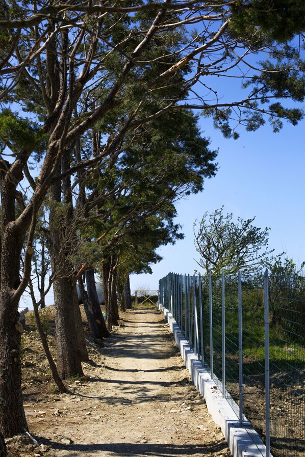 A dirt path flanked by trees and a metal fence, leading towards a distant structure. - AMORE RENTALS - Villa Ligea with Private Swimming Pool, Sea View and Parking (Sant´Agata sui Due Golfi)