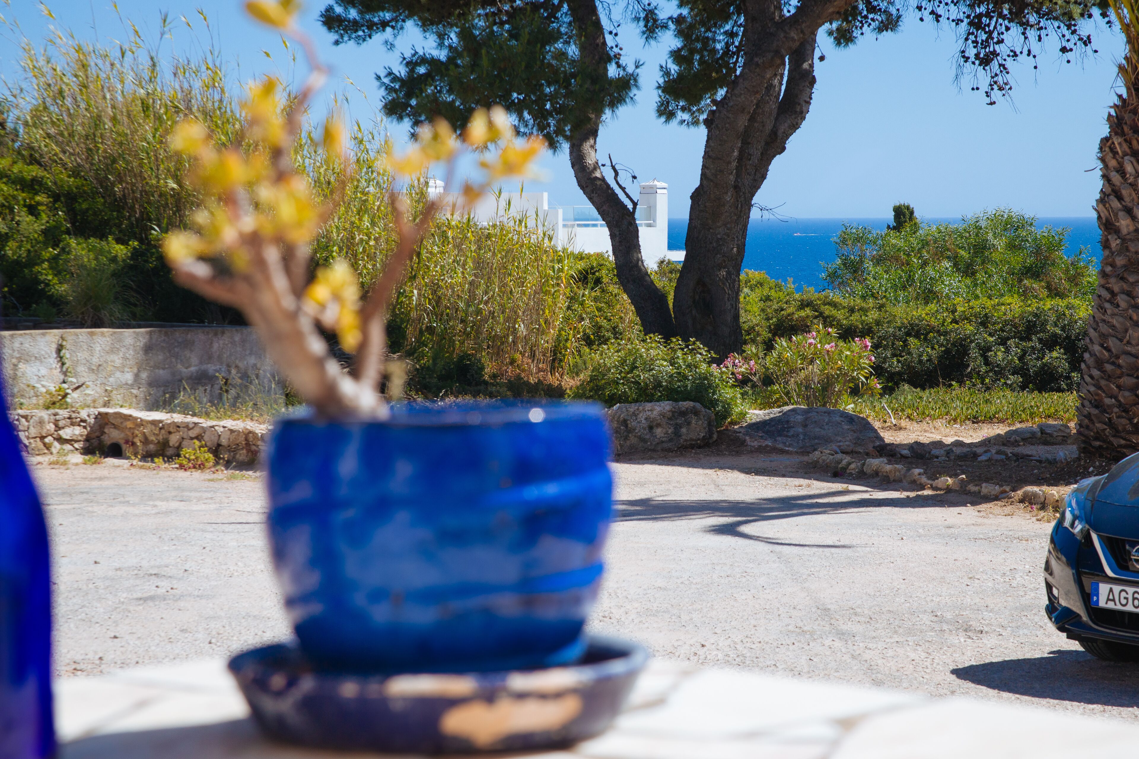 A blue pot with a plant on a table, a car parked nearby, and a view of the sea and buildings in the background.