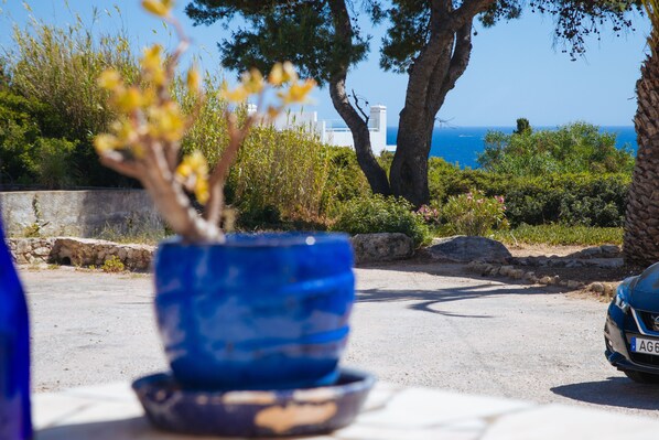 Una maceta azul con una planta sobre una mesa, un coche aparcado cerca y una vista al mar y edificios en el fondo.