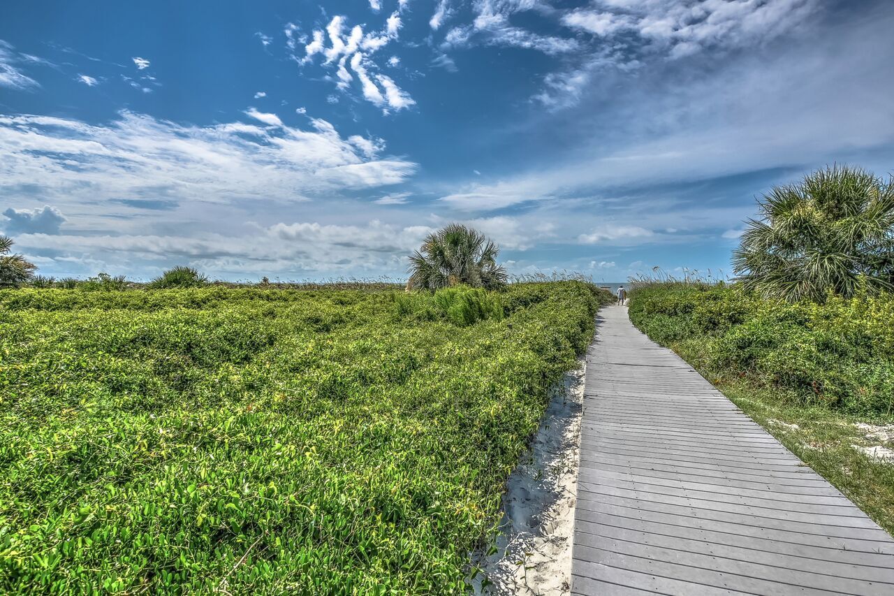 Une promenade en bois serpente à travers un paysage verdoyant luxuriant, sous un ciel dégagé.