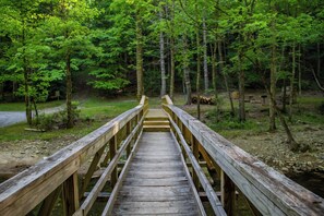 Property grounds - Peace on Birch*Hot Tub*ScreenPrch*Propane FP*Pet Friendly (Deep Gap)