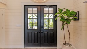 A black double door with glass panels, a potted plant to the right, and a textured ceiling light.