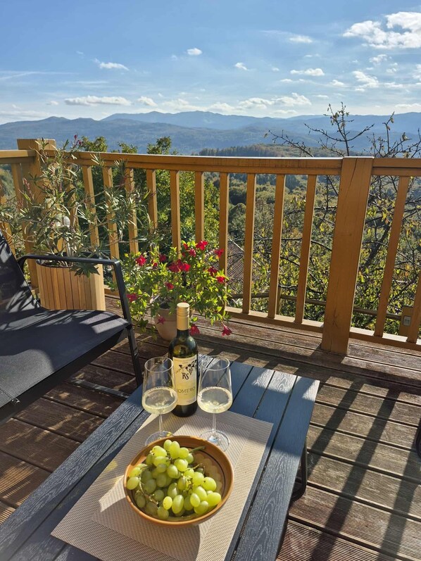 Balcony - Vineyard cottage Stopar (Straza)