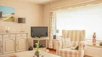 TV, fireplace, DVD player, books