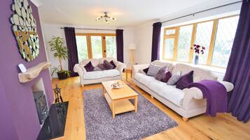 TV connectée, cheminée