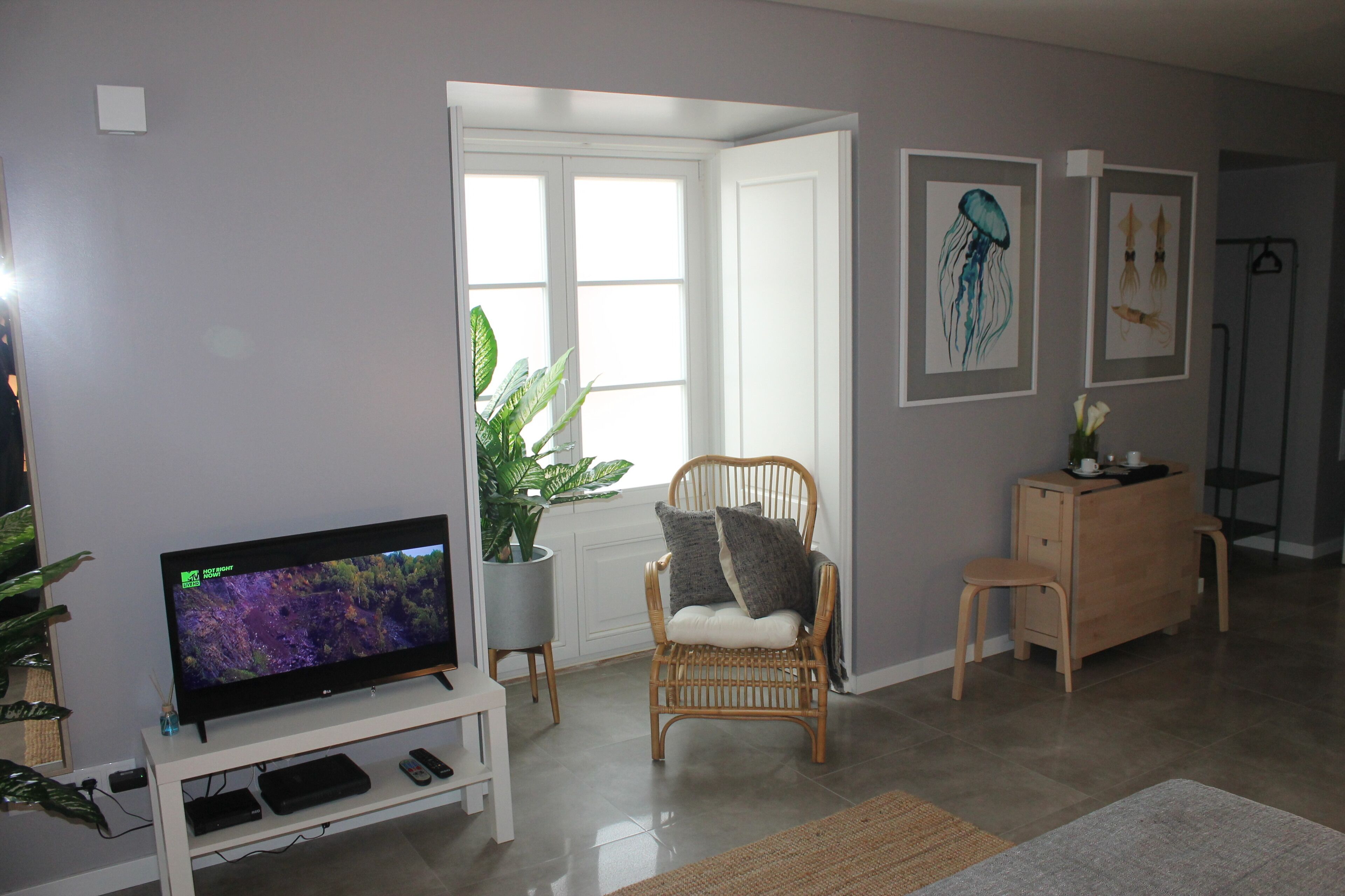 A living room with a flat-screen TV, a wicker chair, a wooden cabinet, and a potted plant.