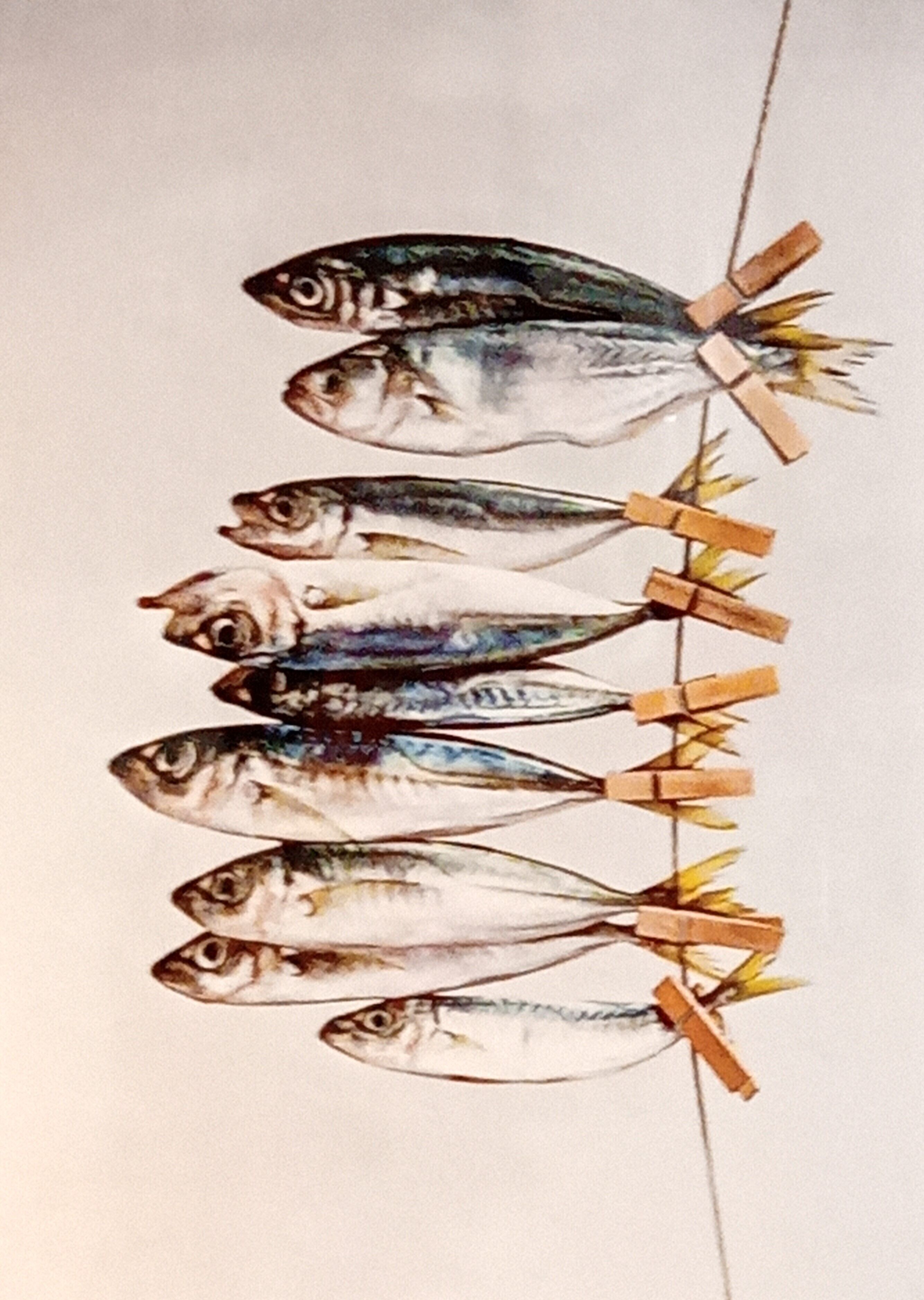 Une guirlande de poissons en papier, fixés à une ficelle à l’aide de petites pinces à linge en bois.