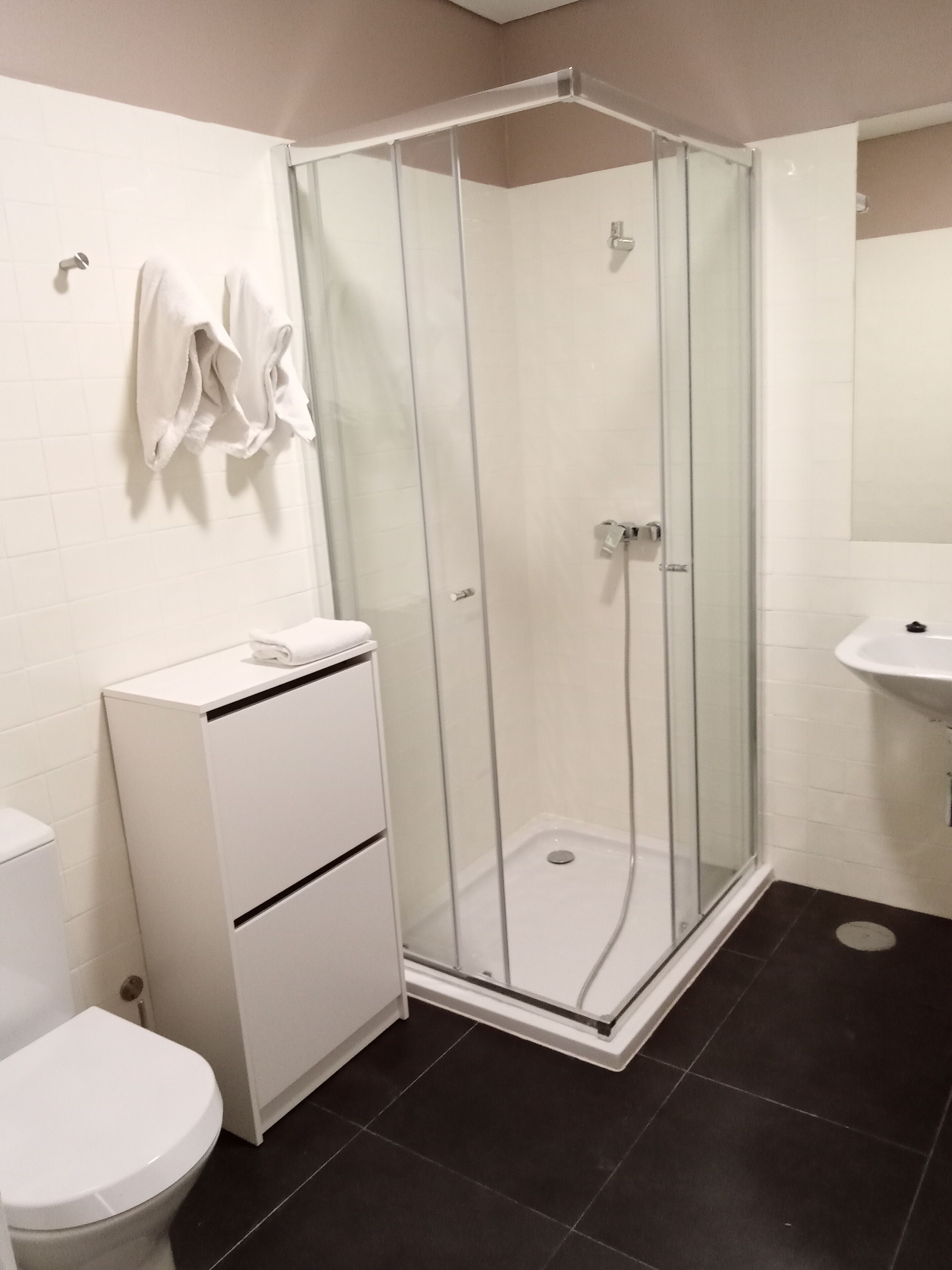 Une salle de bain moderne avec une douche à parois de verre, un lavabo blanc et des toilettes.