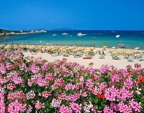 Literie de qualité supérieure, minibar, coffres-forts dans les chambres