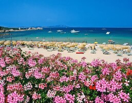 小型套房, 露台, 海景 | 客房景观