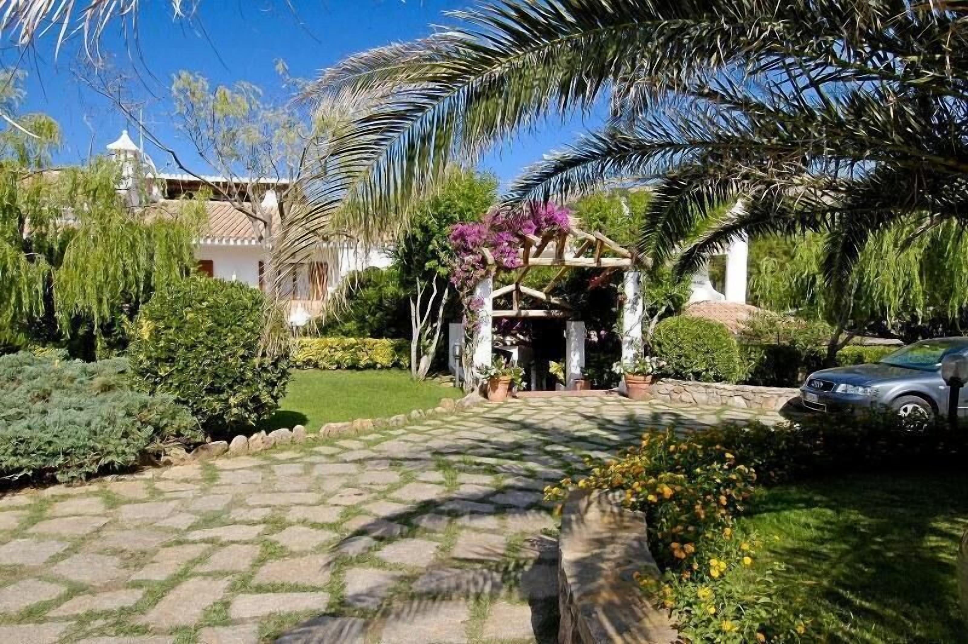 A garden with a paved pathway, palm trees, and a car parked in the background.