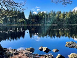 Unclassified image, 5 of 25, button