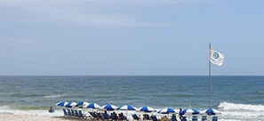 Une plage bordée de rangées de parasols bleus et blancs et de chaises longues, tous orientés vers l’océan.