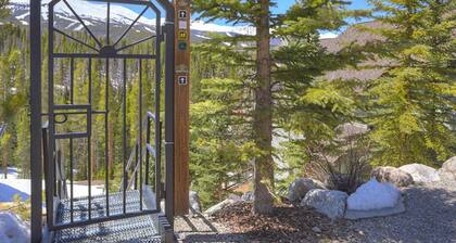 Ski in/Ski Out 100 yards, Masive Views, On Shuttle Route, Hot Tub, Fireplace