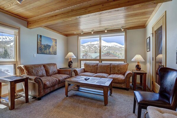 Smart TV, fireplace, DVD player, books - Ski in/Ski Out 100 yards, Masive Views, On Shuttle Route, Hot Tub, Fireplace (Breckenridge)