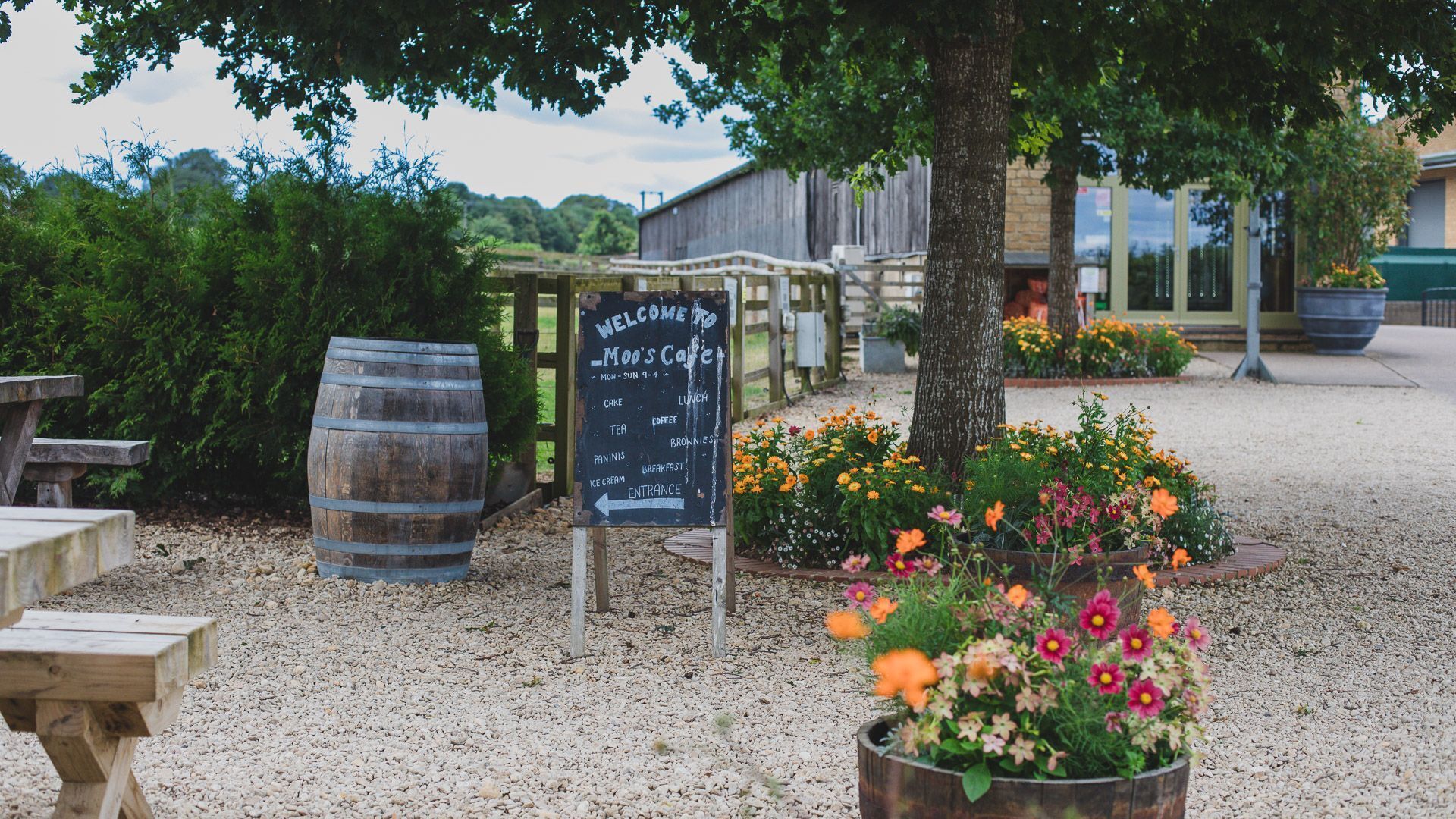 A rustic outdoor seating area with wooden benches and a chalkboard sign listing cafe menu items.