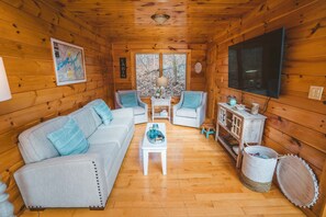 TV connectée, cheminée, lecteur de DVD