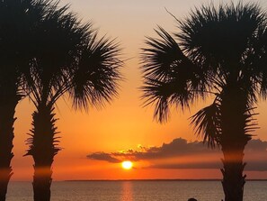 Beach nearby, sun loungers, beach towels - Hemingway Inspired Villa (Sarasota)