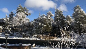 Un paysage enneigé avec des arbres et des rochers.