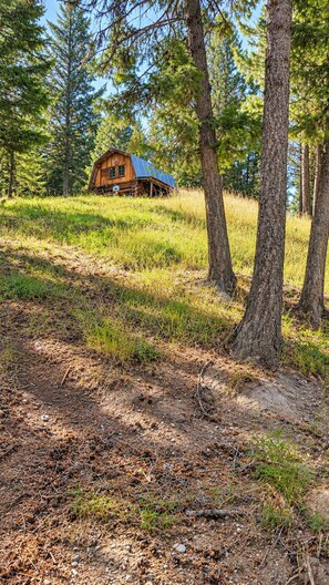 A rustic cabin with a sloped roof, surrounded by dense forest and a grassy area.
