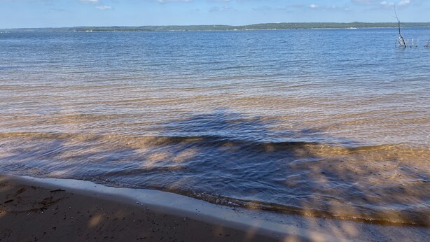 Una playa con agua cristalina, una orilla arenosa y una costa distante con edificios.