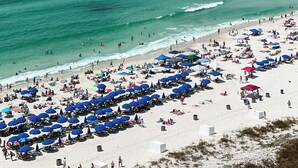 A beach with rows of blue umbrellas and sun loungers, a sandy shore, and the ocean in the background. - Spacious 9th floor, 2 bedroom plus bunkroom with STUNNING OCEAN & POOL VIEWS! (Panama City Beach)
