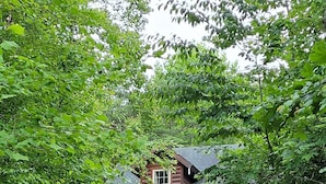 En stuga med en veranda, omgiven av tät, grönskande vegetation.