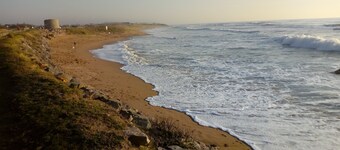 Petit 2 Pièces en Front de mer