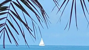 A beach scene with a sailboat on the water and palm leaves framing the view. - Ocean front , beach views - exquisite sunsets and relaxing setting. (Naples)