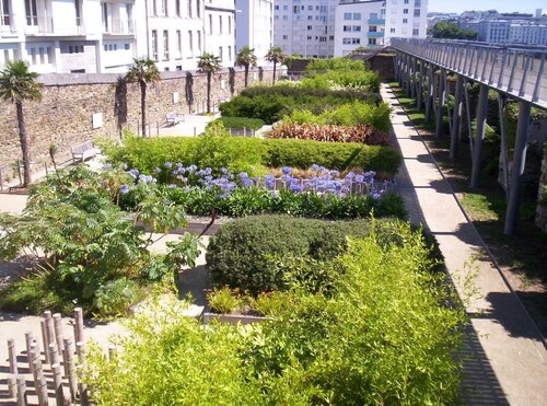 The whole loc -Beautiful Bright Apartment -*WIFI 6*-