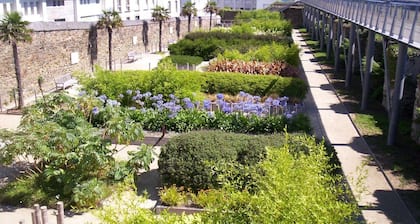 The whole loc -Beautiful Bright Apartment -*WIFI 6*-