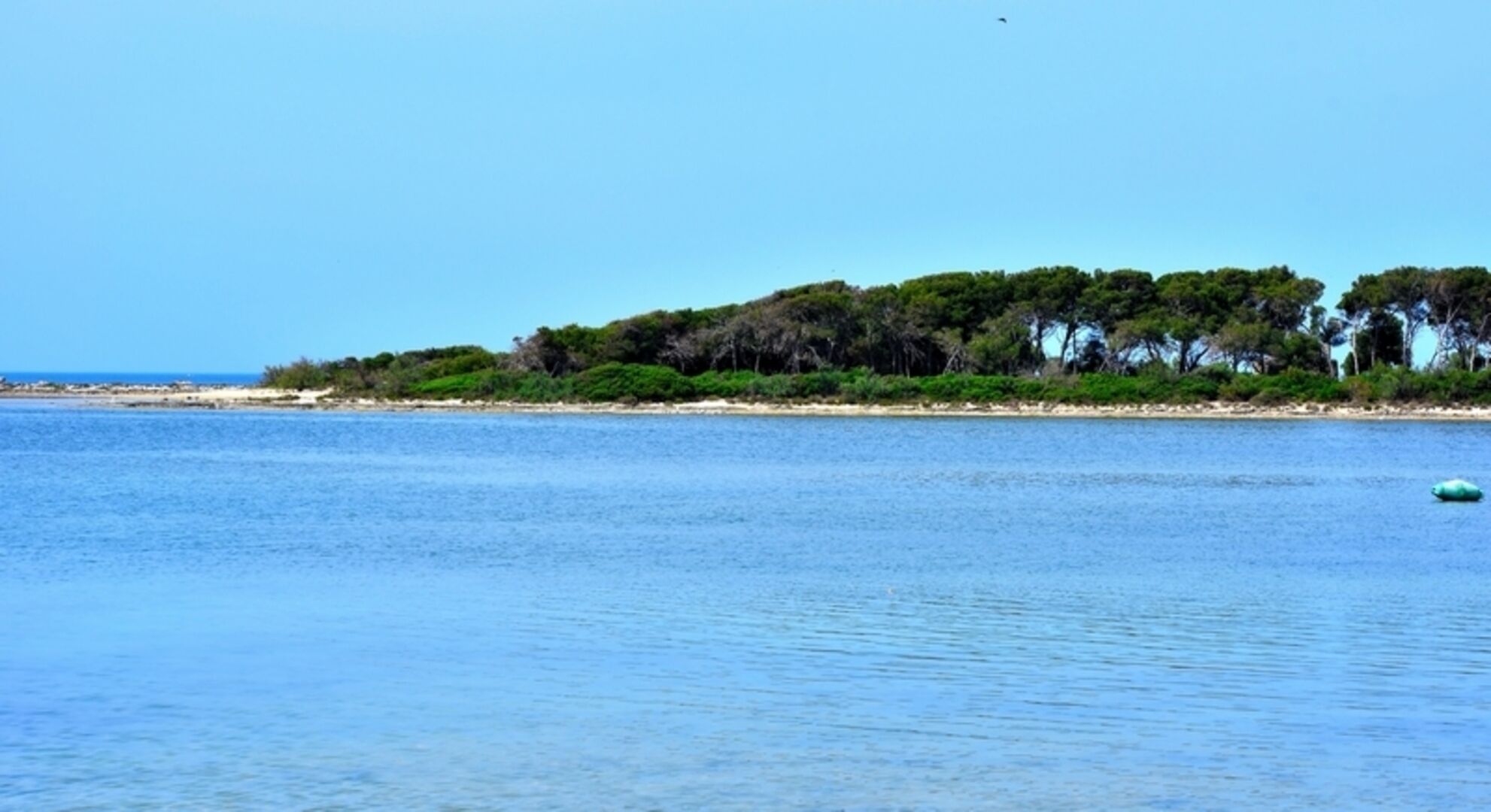 Vista costeira com praia arenosa e vegetação verde exuberante.